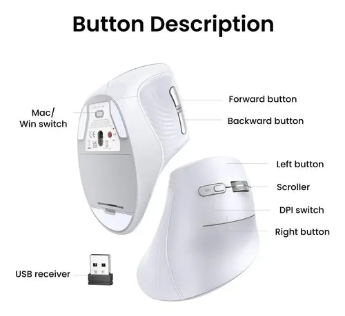 Ratón Ergonómico Vertical Ugreen 45759 Color Blanco