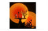 Tiktok Lampara Sunset Proyector Puesta De Sol Colores