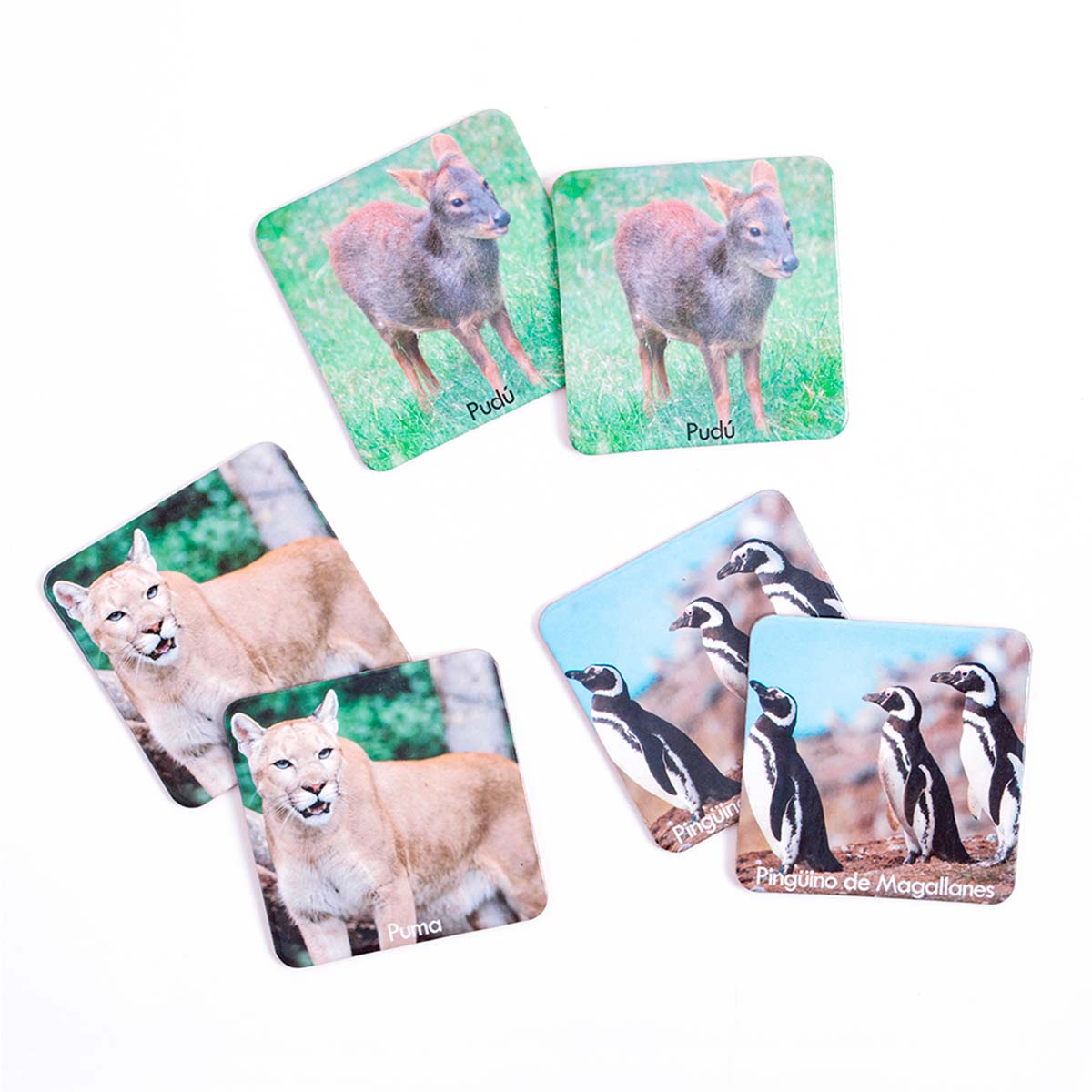 Memorice Plus Fauna Chilena 32 Piezas Dactic