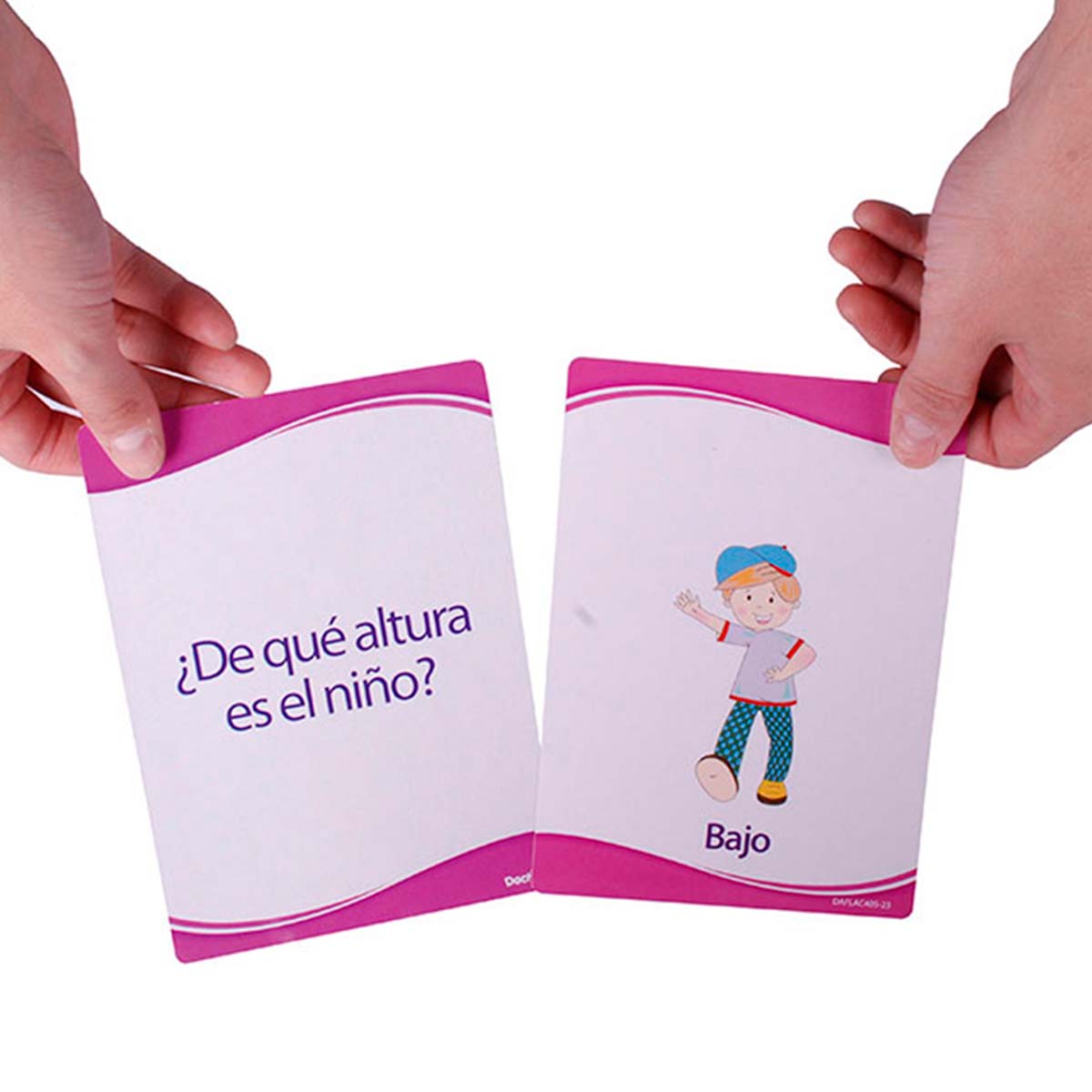 Láminas Conceptos Dactic