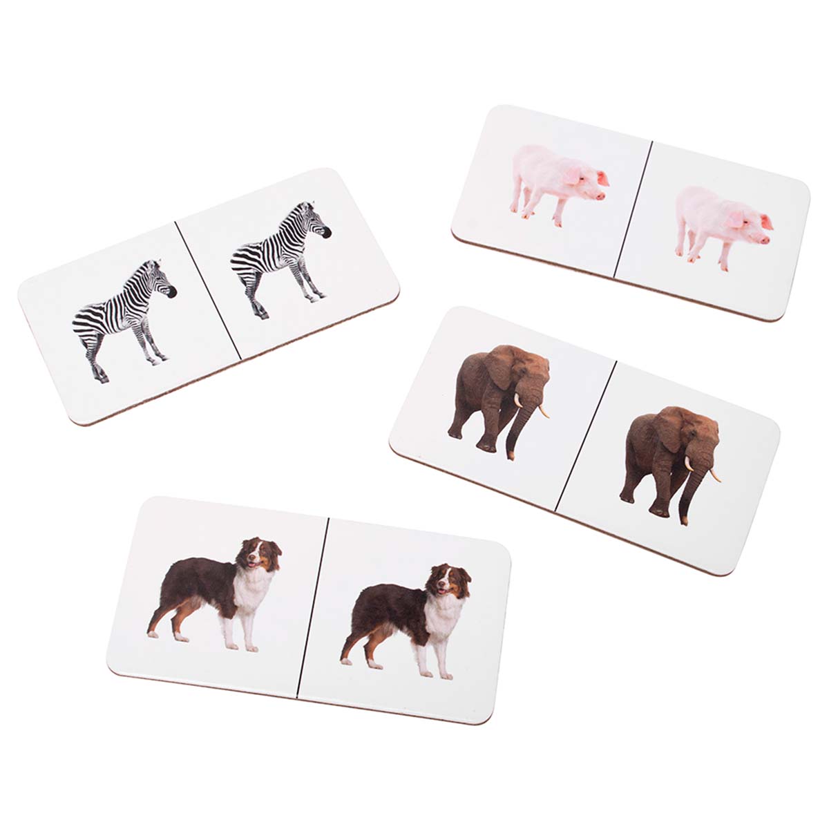 Domino Animal Carton Dactic