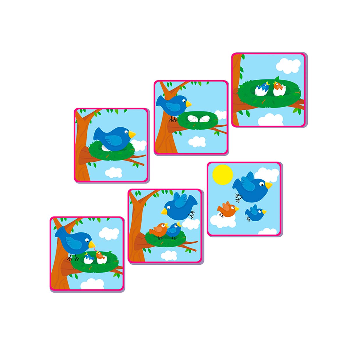 Tarjetas Secuencia Cartón 6 Tiempos Dactic