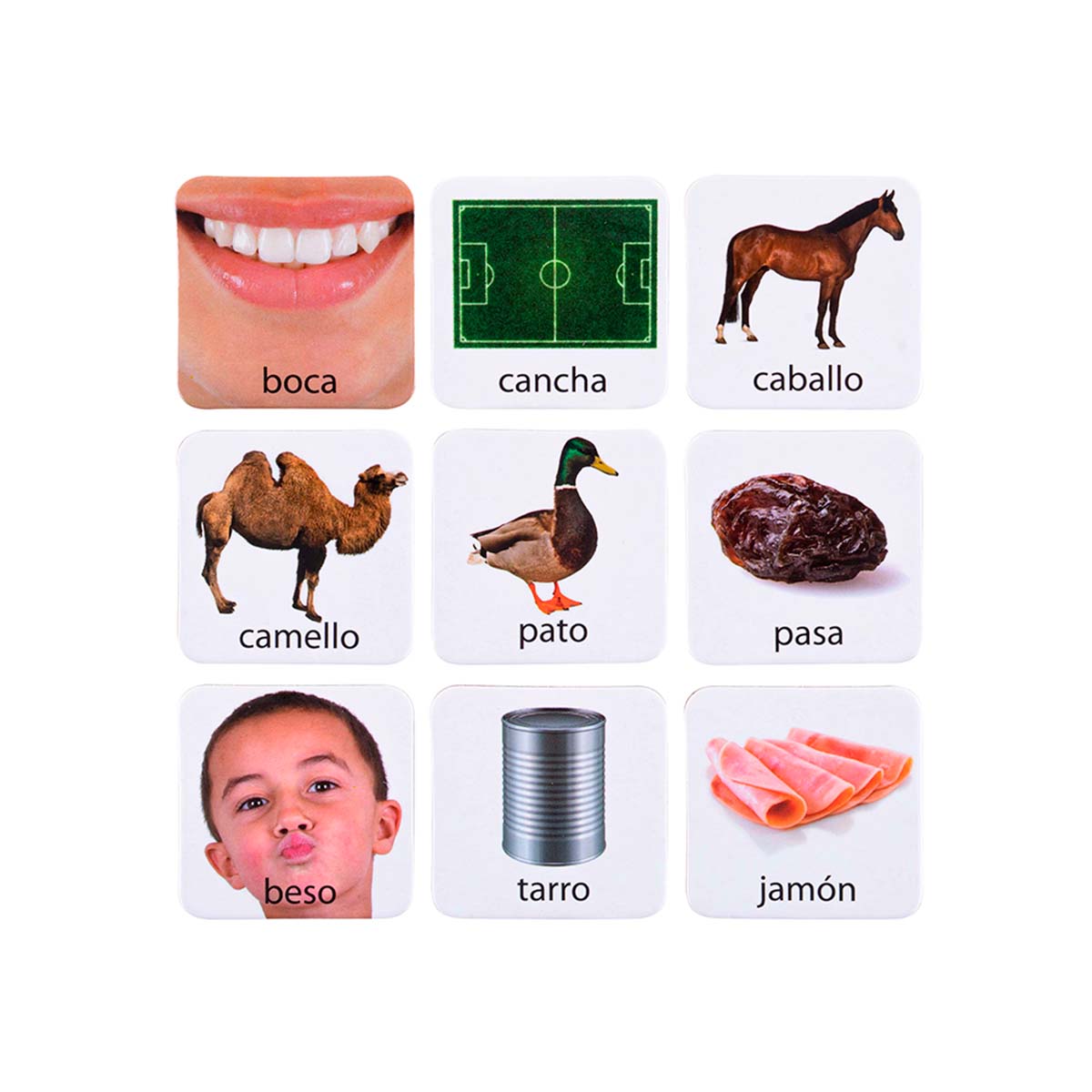 Lotería Discriminación Auditiva Dactic