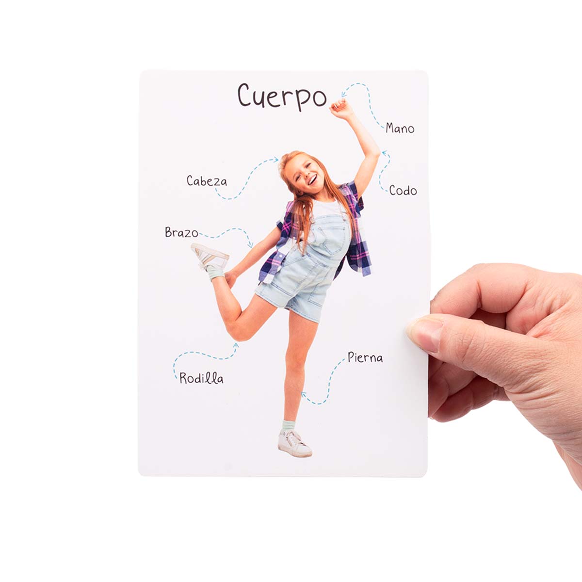 Lámina Didáctica Partes Del Cuerpo