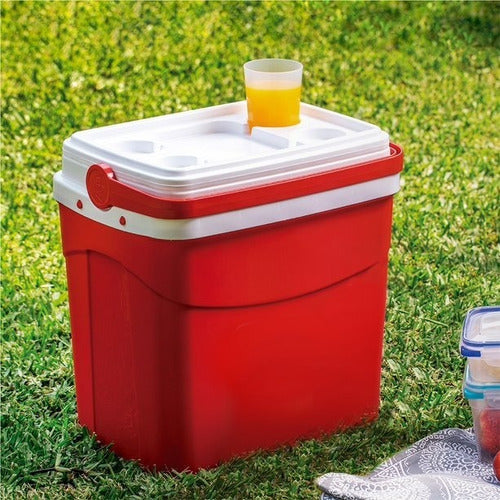 Cooler Nevera Ratán 35 Lts.