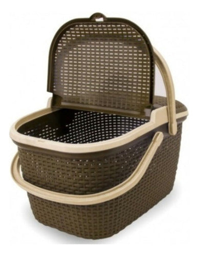 Canasta Ratan Para Alimentos Picnic